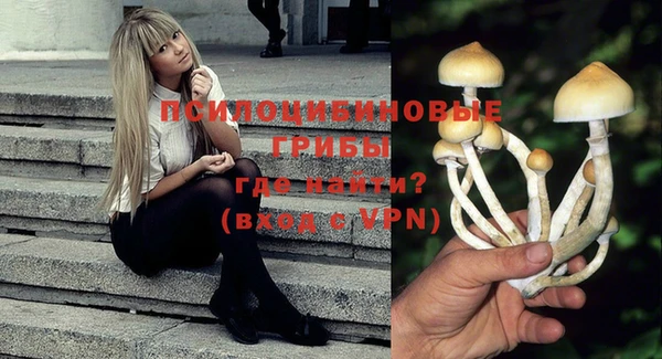 прущие крисы Осинники
