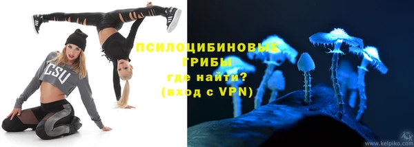 прущие крисы Осинники