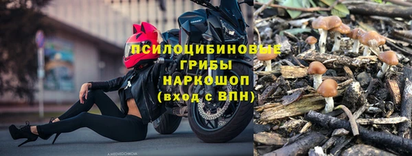 прущие крисы Осинники