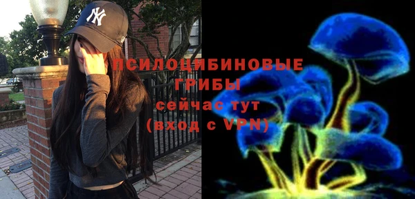 спиды Осташков