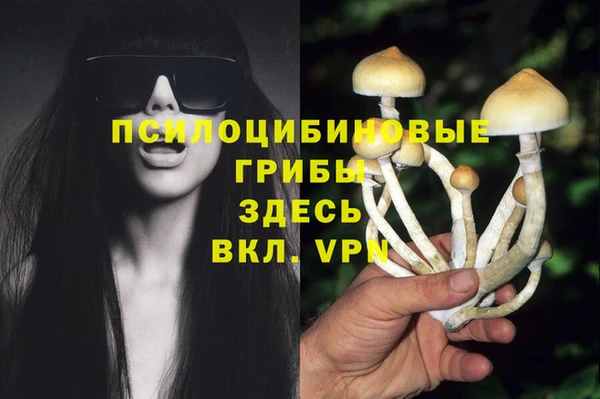 прущие крисы Осинники